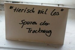 Spuren