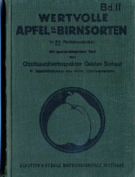 Apfelmann
