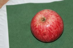 Charlamowsky